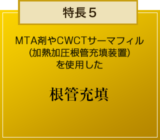 特徴５　MTA剤やCWCTサーマフィル
(加熱加圧根管充填装置)を使用した　根管充填